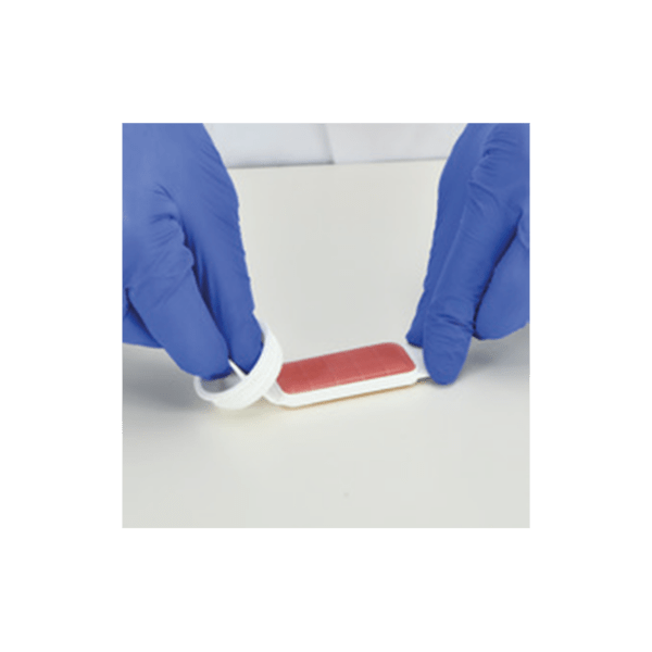 HygieneChek Plus
