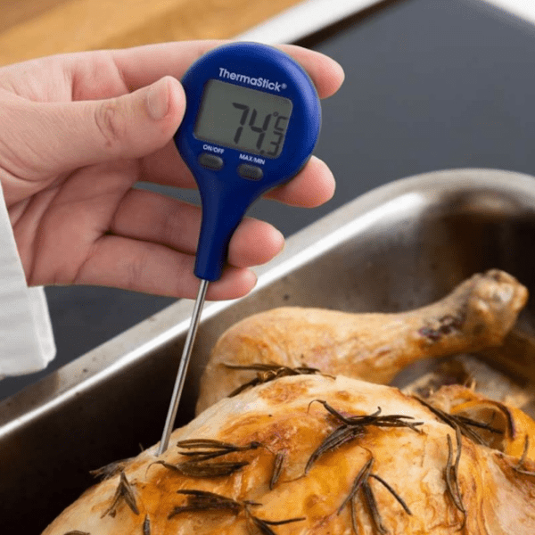 Labset termómetro Thermastick_detalhe2 Termómetro de sonda Thermastick